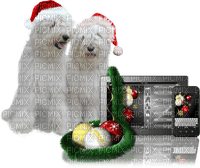 Kaz_Creations Christmas Dog Pup Dogs Colours - фрее пнг