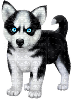 Husky.Dog.Black.White - Free PNG