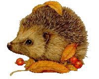 Hedgehog Autumn Gif - Bogusia - Free animated GIF