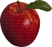 Kaz_Creations Apple Fruit