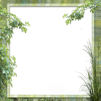 cadre vert frame green tree - nemokama png
