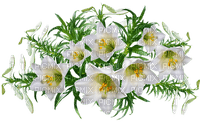 kukka, flower, fleur - darmowe png