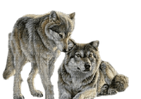 az loup wolf animaux animal - ingyenes png