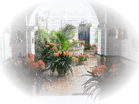 minou-window-fönster-entre-entrance-ingresso-flower-blommor - PNG gratuit