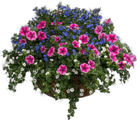 Blumentopf - ilmainen png