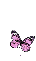 pink papillon -butterfly - GIF animado gratis