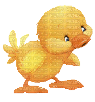 petit canard - GIF animasi gratis