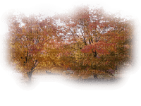 autumn trees - PNG gratuit