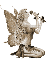 Y.A.M._Fantasy fairy Sepia - Zdarma animovaný GIF