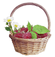 Basket Flower Green Raspberry - Bogusia - фрее пнг