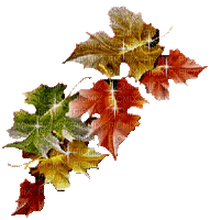 Herbstblätter - Darmowy animowany GIF