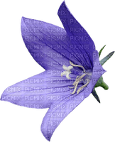 dolceluna blue flower purple - gratis png