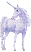 licorne - Ilmainen animoitu GIF