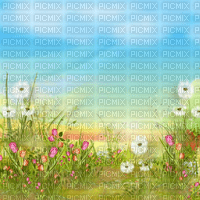 Y.A.M._Summer background - бесплатно png