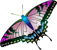 Butterfly- pages -2 - zadarmo png