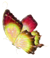 Y.A.M._Fantasy butterfly - Бесплатни анимирани ГИФ