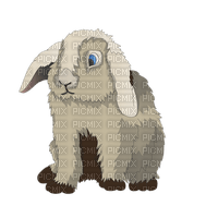 rabbit, jänis - 免费PNG