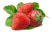 strawberry erdbeere milla1959 - PNG gratuit