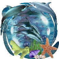 dolphins bp - Darmowy animowany GIF