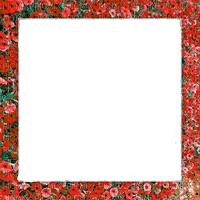 Red floral frame png - PNG gratuit