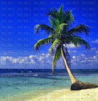background schlappi50 - Besplatni animirani GIF