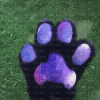 black/purple cat paw glove - Free animated GIF
