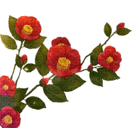 Flores rojas - nemokama png