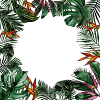 kikkapink tropical summer frame - kostenlos png
