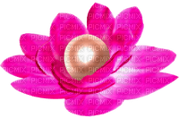 Flower.Pearl.White.Pink - png gratuito