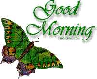 Morning _butterfly - GIF animé gratuit