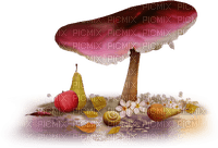 champignon - nemokama png
