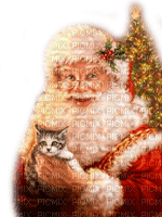 Y.A.M._New Year Santa Claus cat - kostenlos png