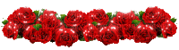 Red roses - GIF animé gratuit