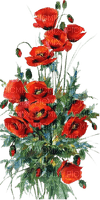 red poppies - ilmainen png