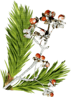 Kaz_Creations Deco Flowers Colours Berries - PNG gratuit