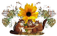 Streifenhörnchen, Blume, Herbst - Gratis animeret GIF