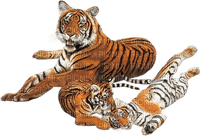 tigers - nemokama png