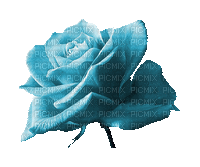 Flower, Flowers, Rose, Roses, Deco, Decoration, Multi-color, Animation, Gif - Jitter.Bug.Girl - Free animated GIF