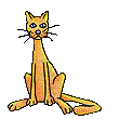 chat roux - Nemokamas animacinis gif