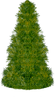 julgran------Christmas tree - PNG gratuit