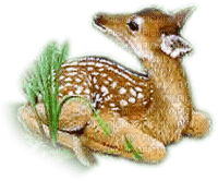 deer katrin - ingyenes png