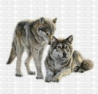 wolf duo - nemokama png