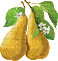 pears Bb2 - kostenlos png