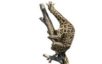Kaz_Creations Giraffe On Branch - kostenlos png