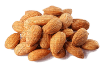 almonds - nemokama png