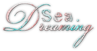 SOAVE TEXT SUMMER SEA DREAMING pink teal - png gratis