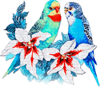 soave deco summer bird tropical parrot flowers - безплатен png