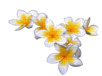 Flowers yellow bp - 免费PNG