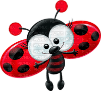 ladybug - ingyenes png