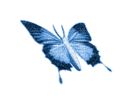 Butterfly, Butterflies, Insect, Insects, Deco, Blue, GIF - Jitter.Bug.Girl - Бесплатный анимированный гифка